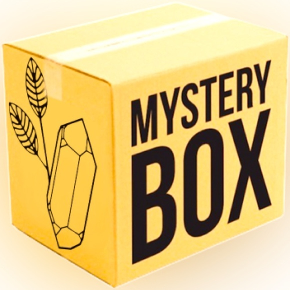 Mystery Box- 10 items from my closet, lulu, babaton etc